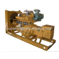 CE approved best quality green power 50kw biogas generator set